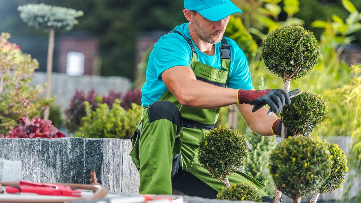 What Should Landscaping Cost? Brooklyn Plant Specialist Reveals Rates