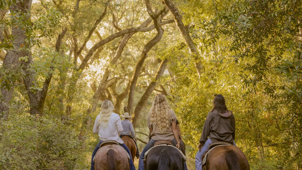 Best Paso Robles Horseback Riding: Wine Country Trail Rides Announced