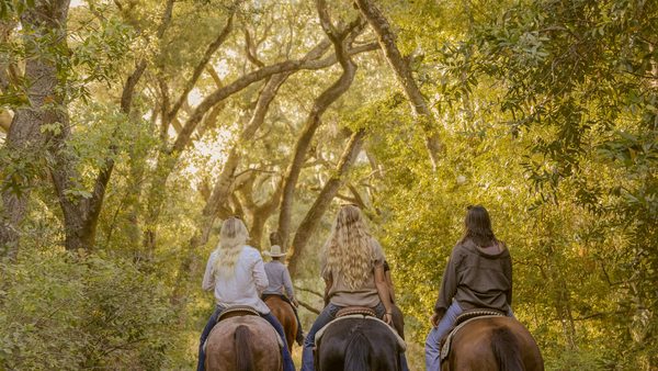 Best Paso Robles Horseback Riding: Wine Country Trail Rides Announced