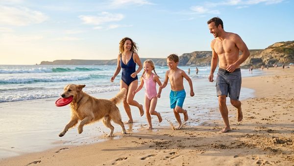 Miramar, FL Pet-Friendly Vacation Rental & Local Activities Guide Published