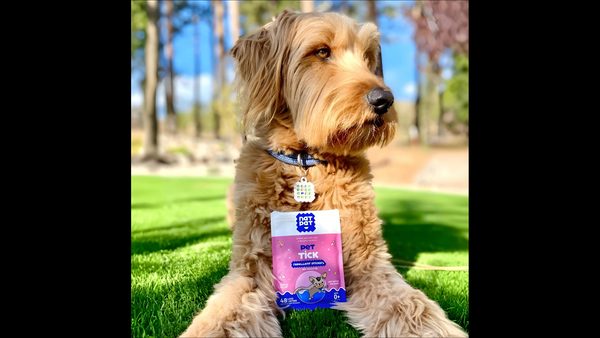 Natural Tick Prevention for Dogs: Repellent Stickers & Pet Lockets Announced