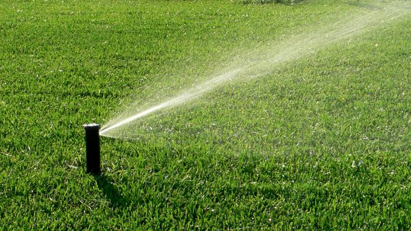 Sprinkler System Inspection Cost: Tips & Advice From Frisco TX Experts