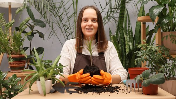 Vacation Watering Stress? Brooklyn Garden Pros Reveal Key Handoff Protocol